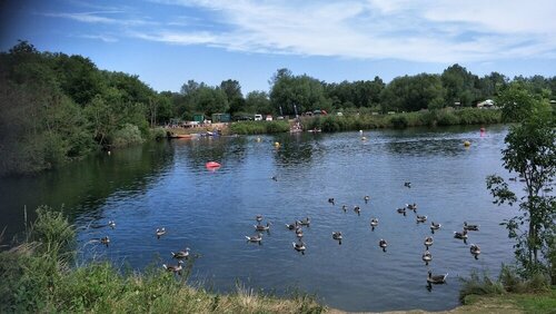 Гостиница Mallard Cottage