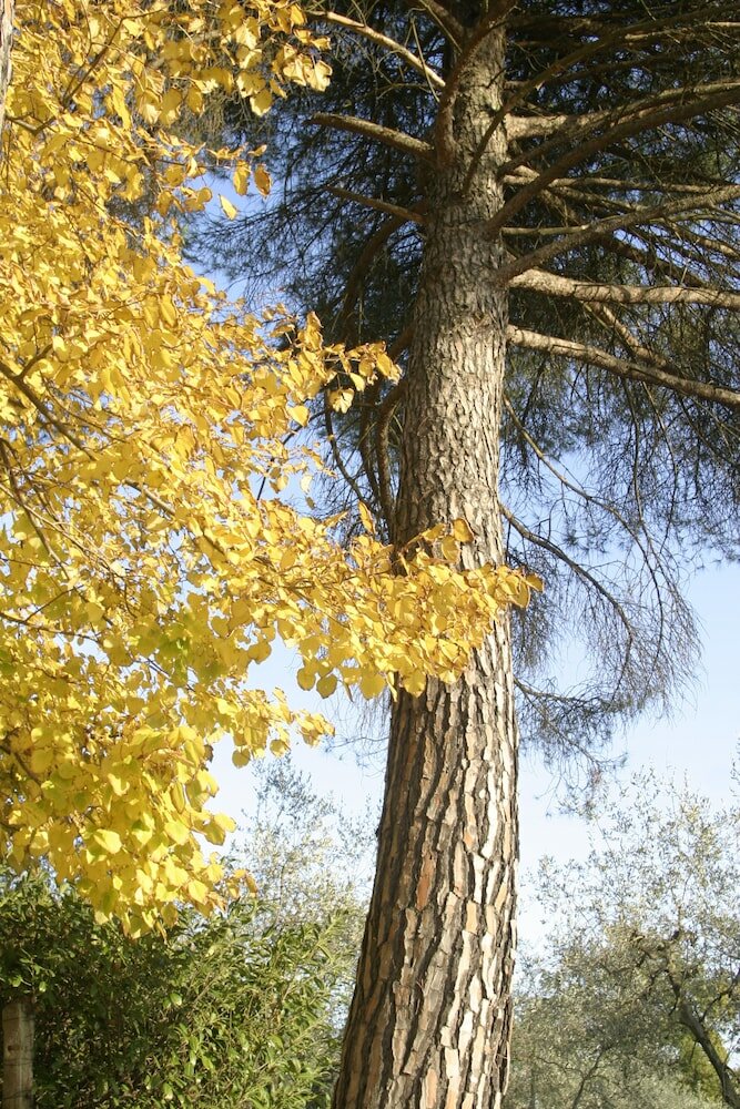 Фото Villa Caselunghe