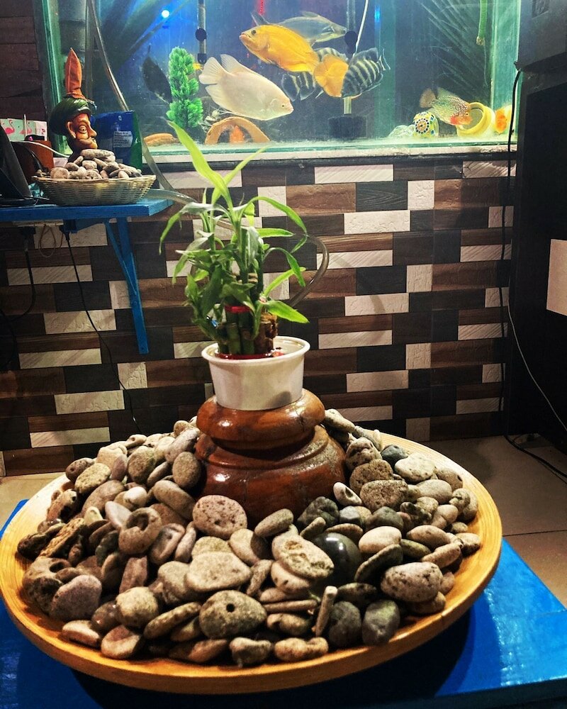 Фото Dream Vision Guest House