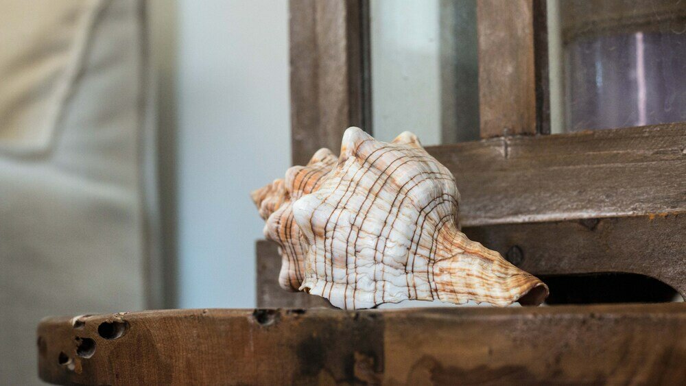 Фото Gratsias Luxury Apartments