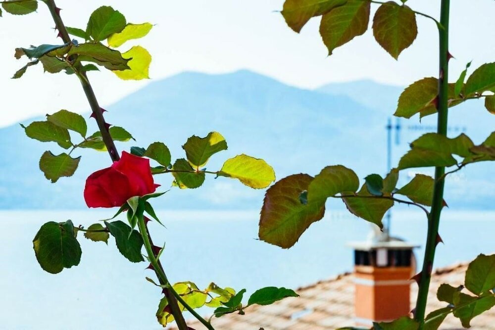 Фото Albergo Sole