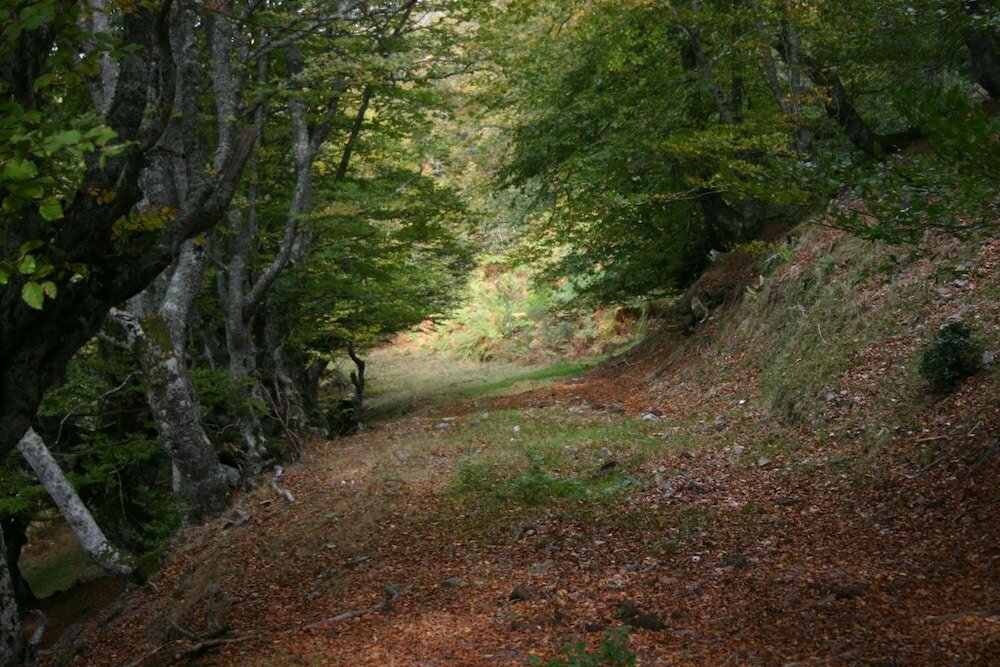 Фото Posada Javier