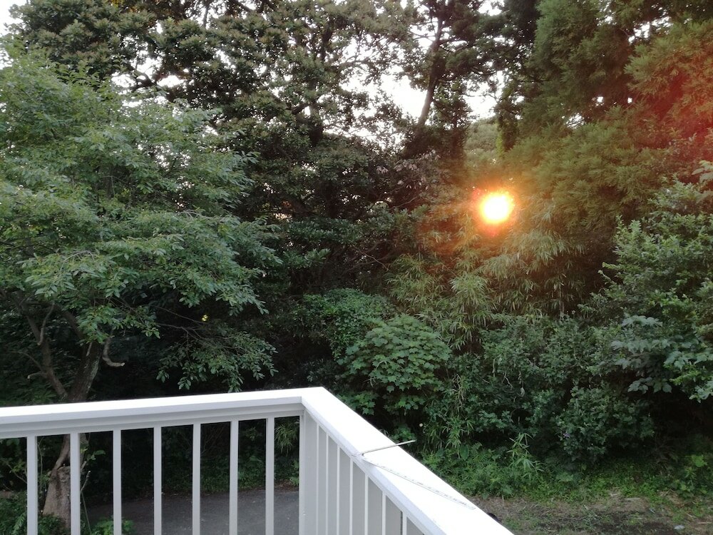 Фото Kuu And Fuu