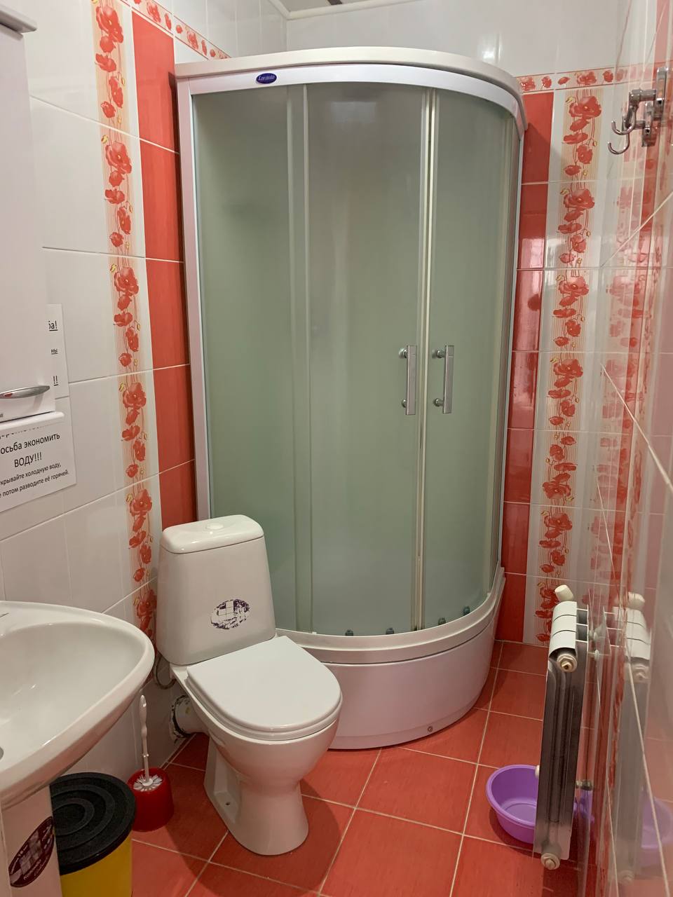 Фото Санита