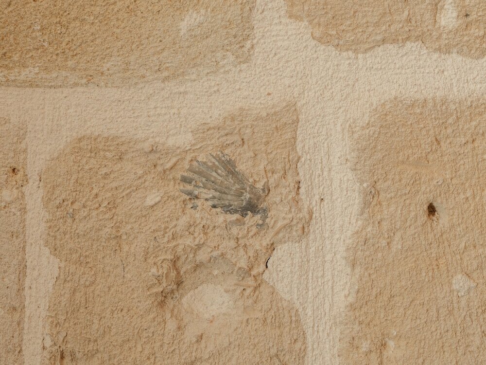 Фото Palazzo degli Abati