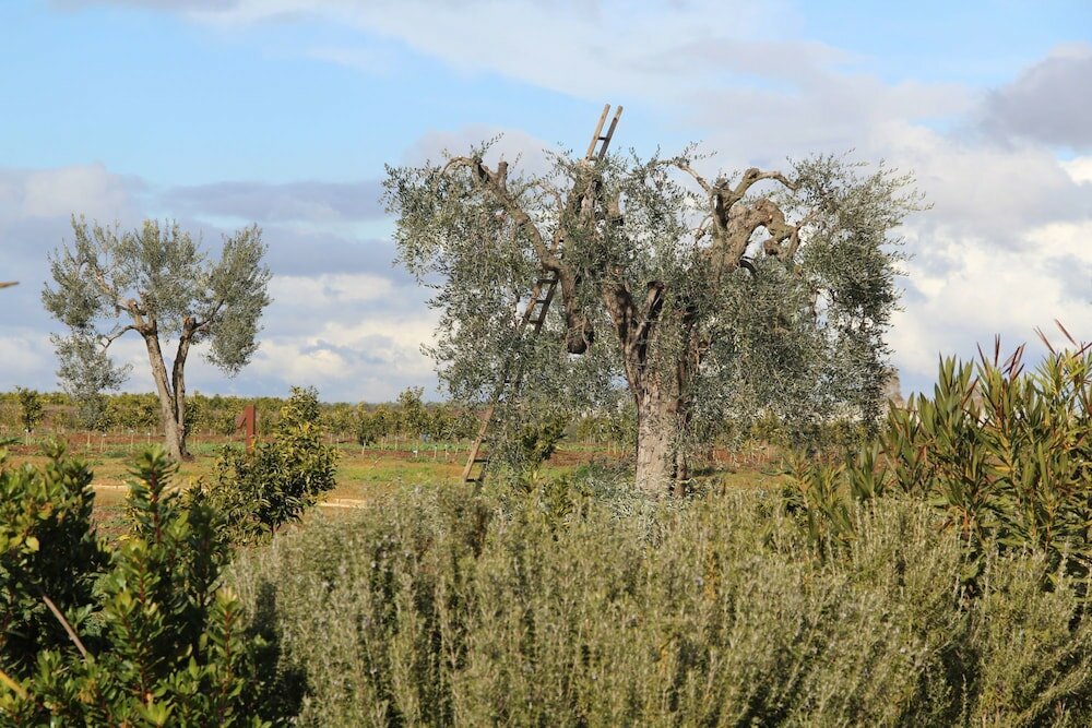 Фото Agrumare Farm Holiday