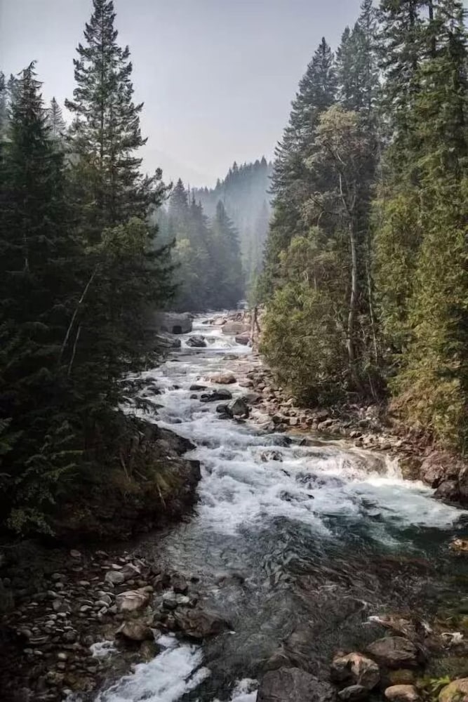 Фото The Sentinel