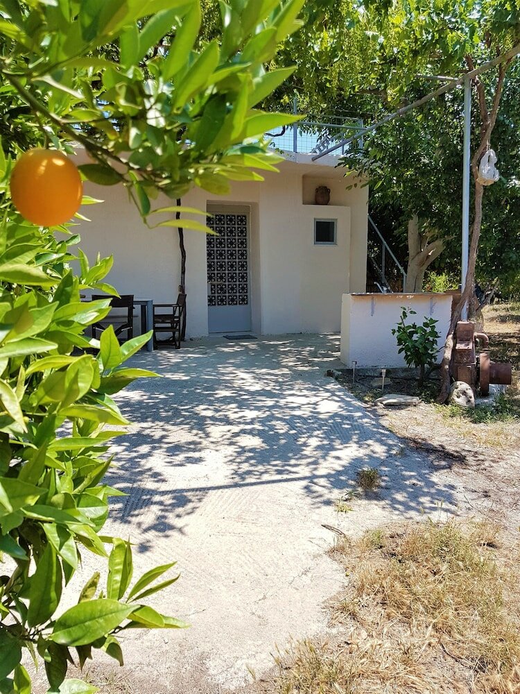 Фото Farm House in Bio Orange Plantation