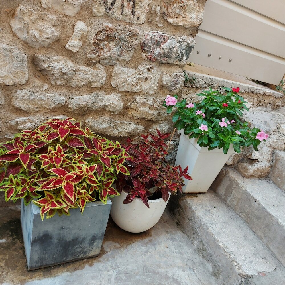 Фото Apartments Softic