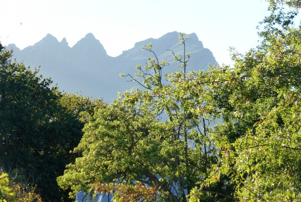 Фото Klein Welmoed Luxury Guest House