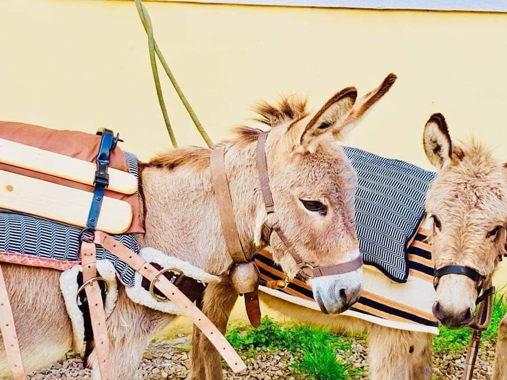 Фото Scala San Giorgio Hotel