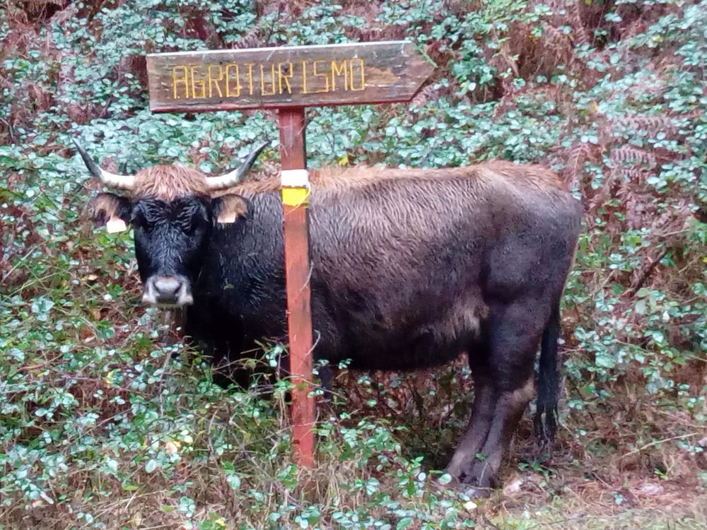 Фото Agroturismo Ordaola