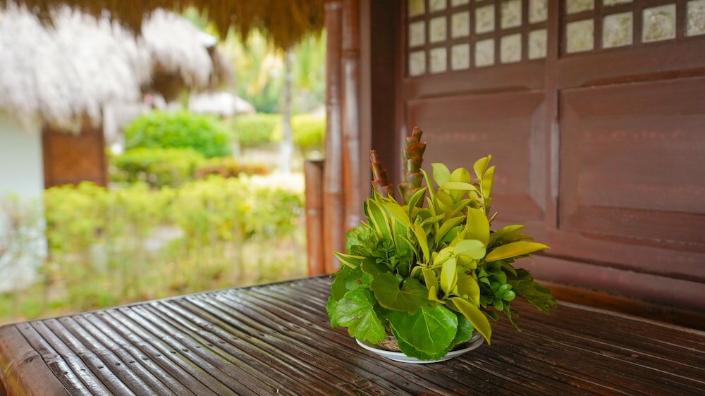 Фото Hijo Resorts Davao