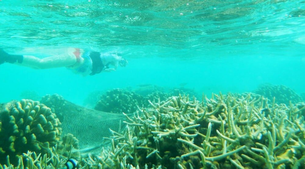 Фото Maafushi, Faza View Inn