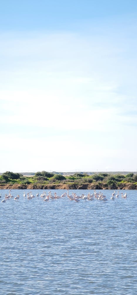 Фото Sunlight House