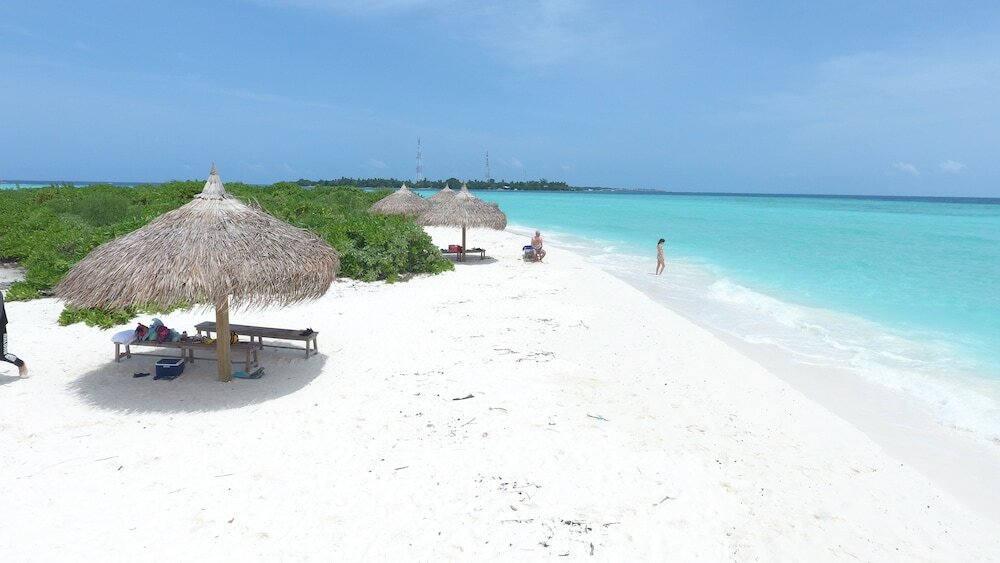 Фото Palm Residence