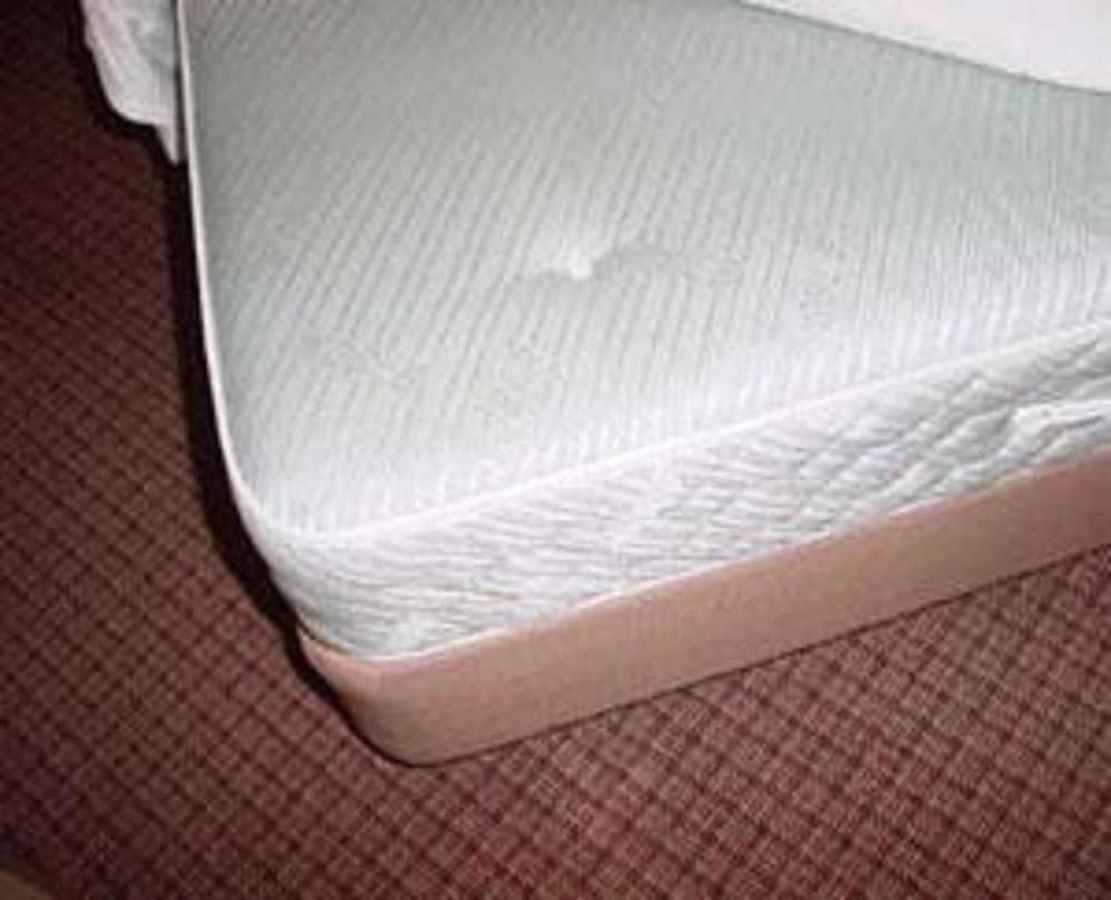 Фото Hotel Tsubame Hills