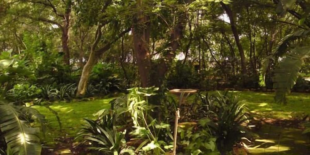 Фото Lapalosa Lodge