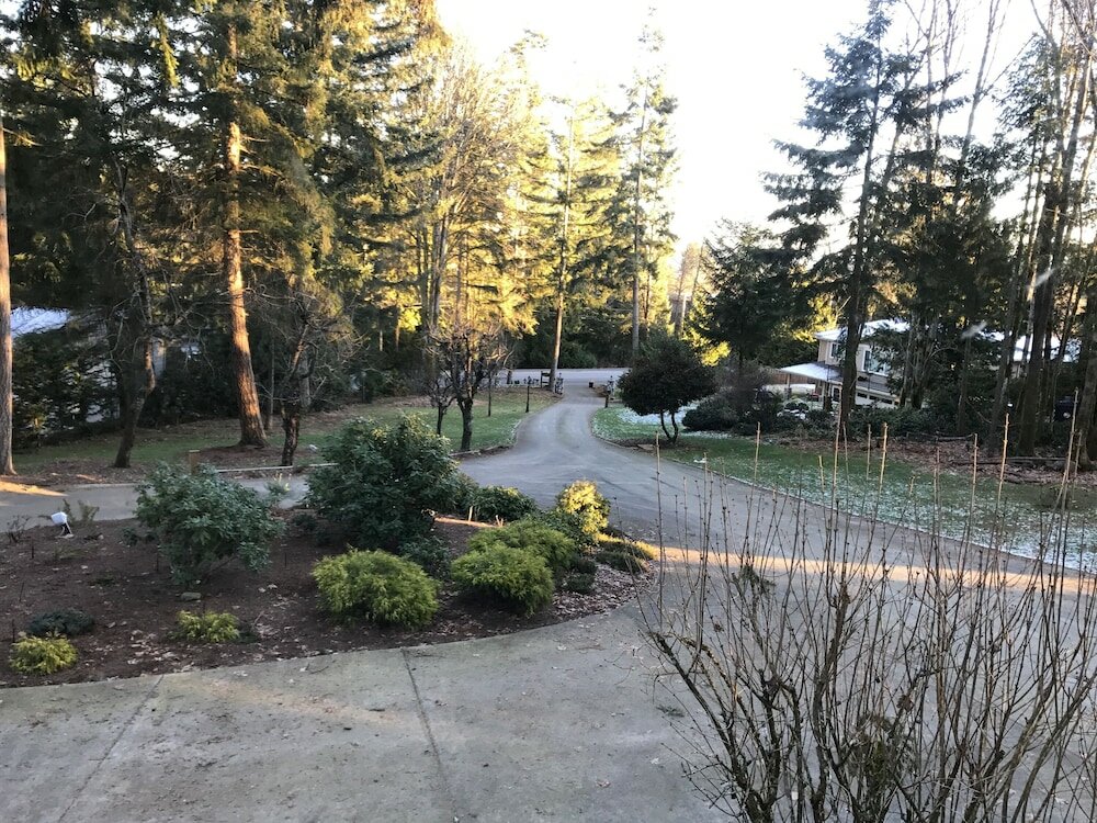 Фото Maple View Bed and Breakfast