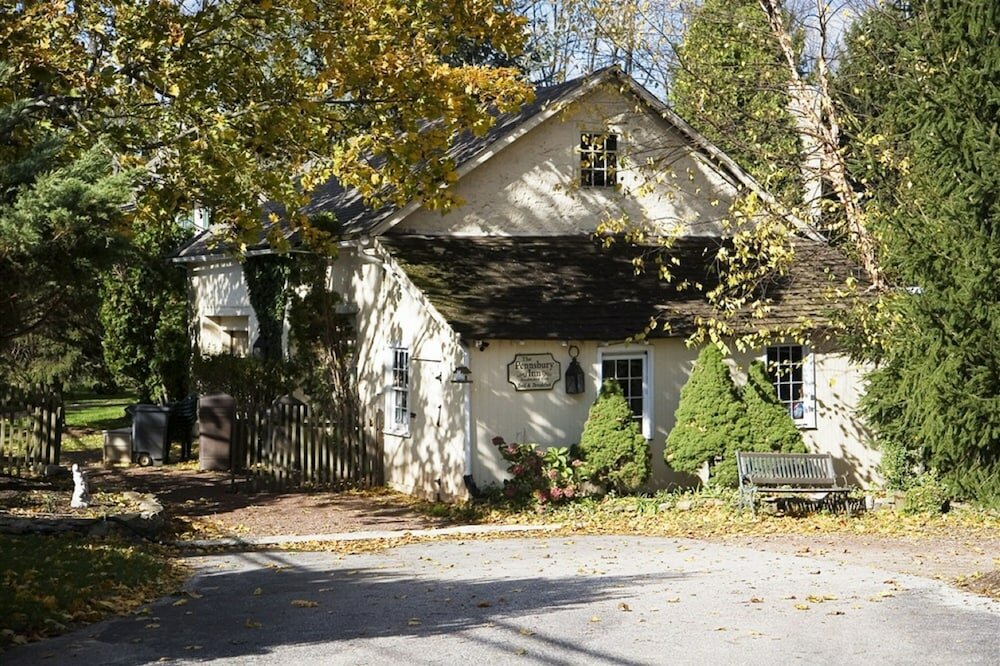 Фото Wild Wisteria