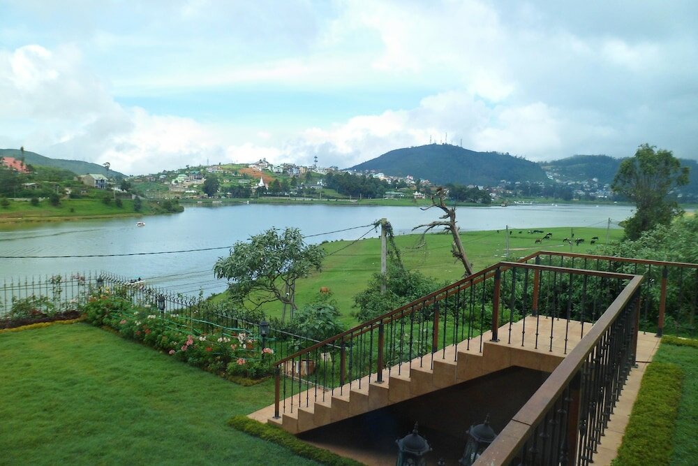 Фото Tea Plant Nuwara Eliya