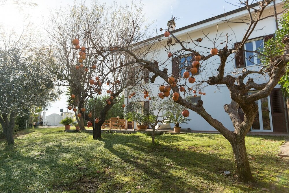 Фото Guest House Le Acacie