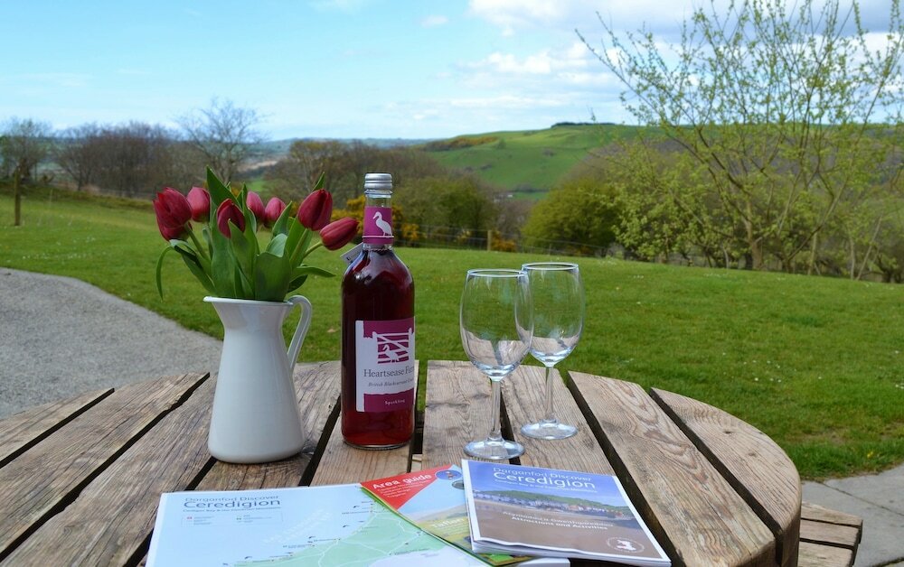 Фото Nant yr Onnen B&b and Ysgubor Holiday Cottage