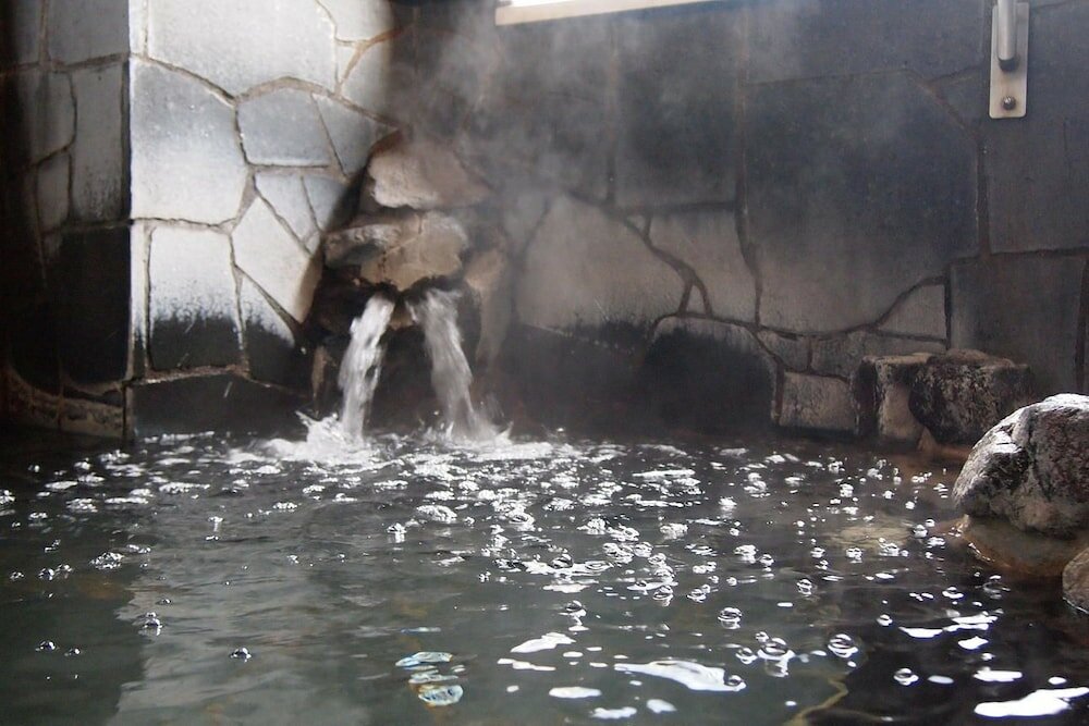 Фото Kawasaki Hotel Park