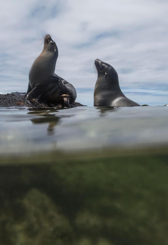 Фото El Paraiso de Isabela
