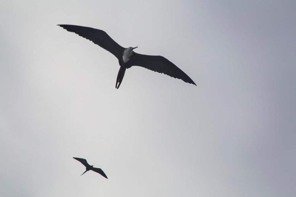 Фото El Paraiso de Isabela