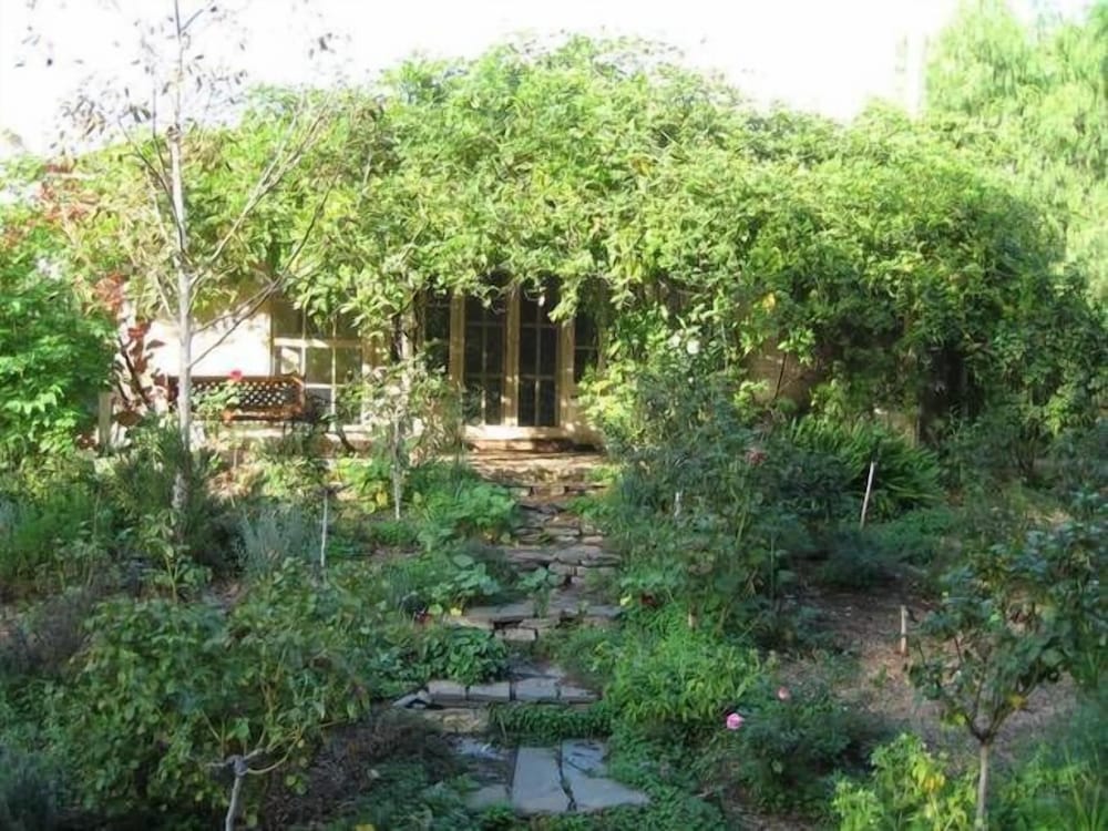 Фото Lemontree Cottage