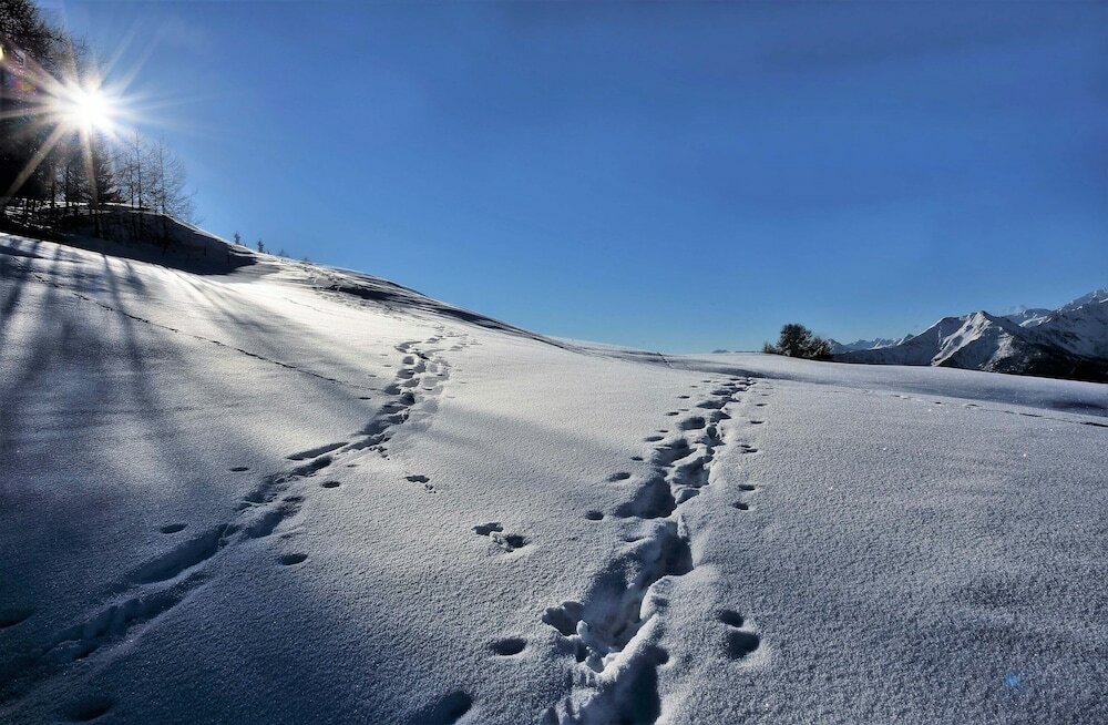 Фото DalaiLama Village