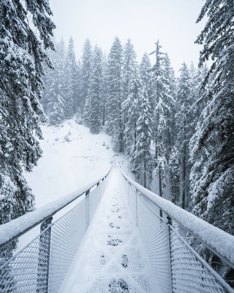 Фото Alpinresort Damüls