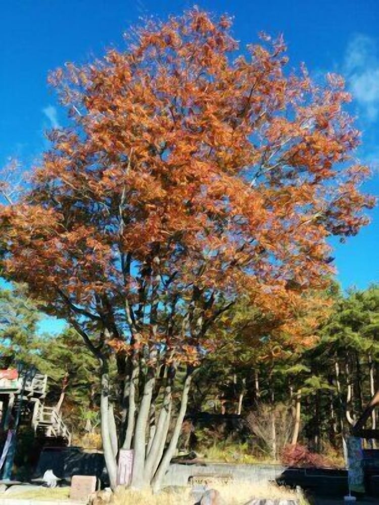 Фото Villa May Queen