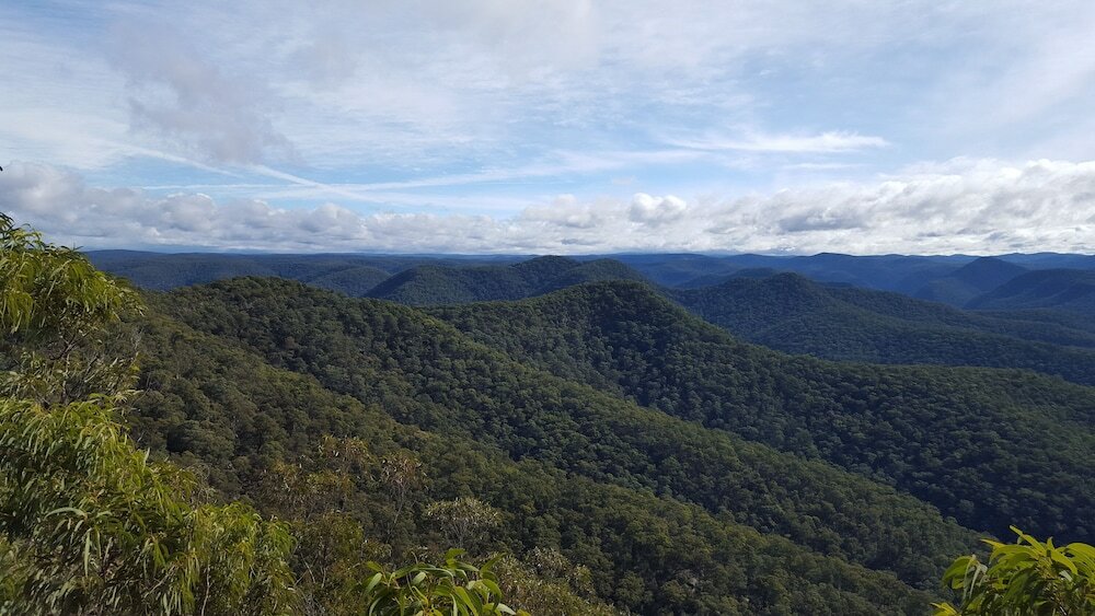 Фото Blueberry Hills On Comleroy