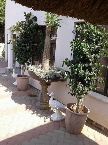 Гостиница Upper Room Guest House во Франсистауне