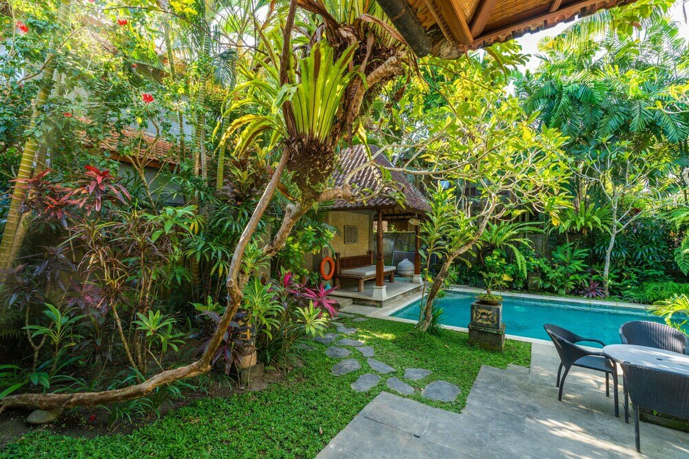 Фото The pause inn Soca 1