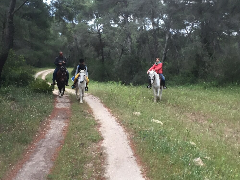 Фото Agriturismo La Stornara