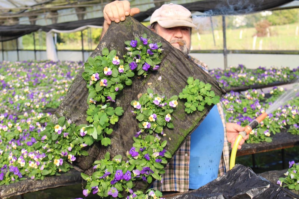Фото Agroturismo Ibarrondo Etxea
