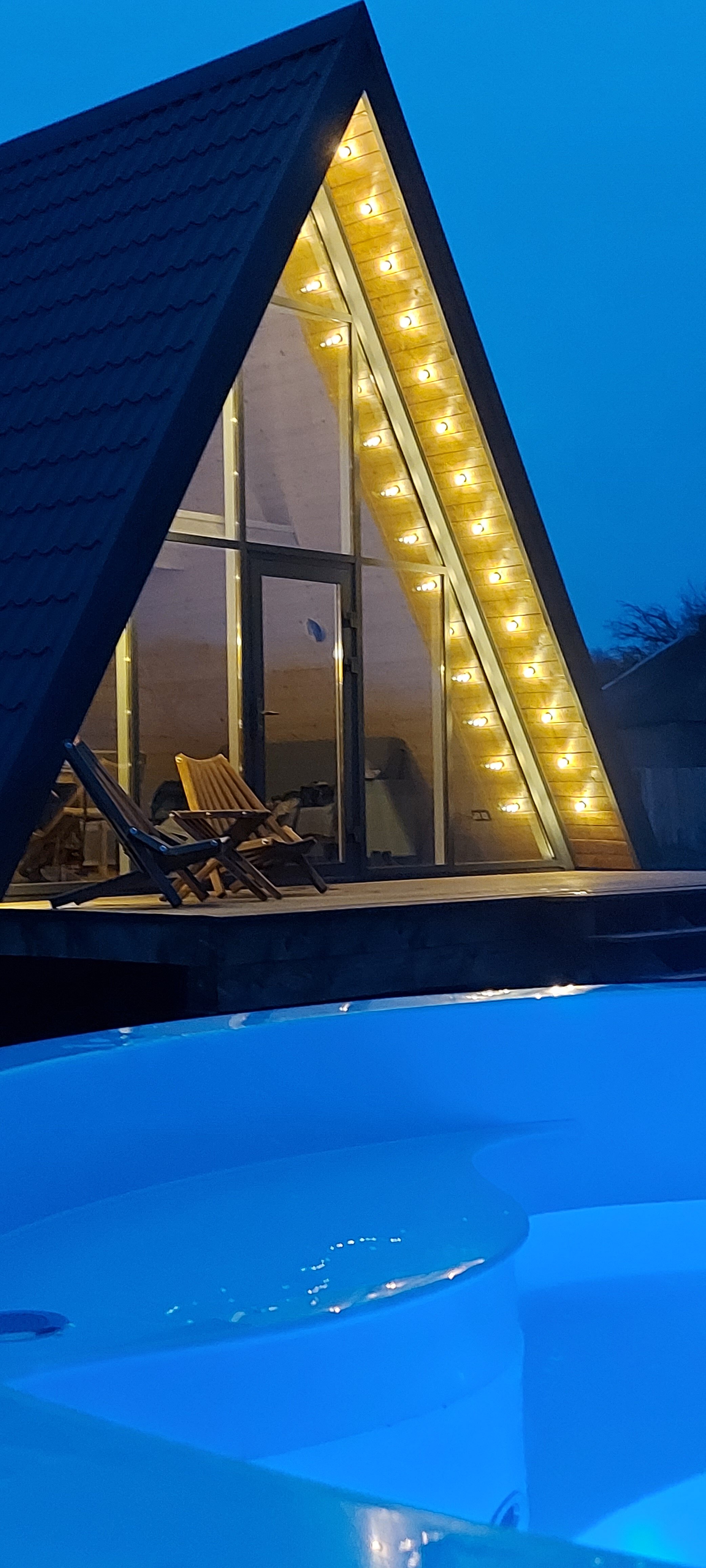 Фото Камыши