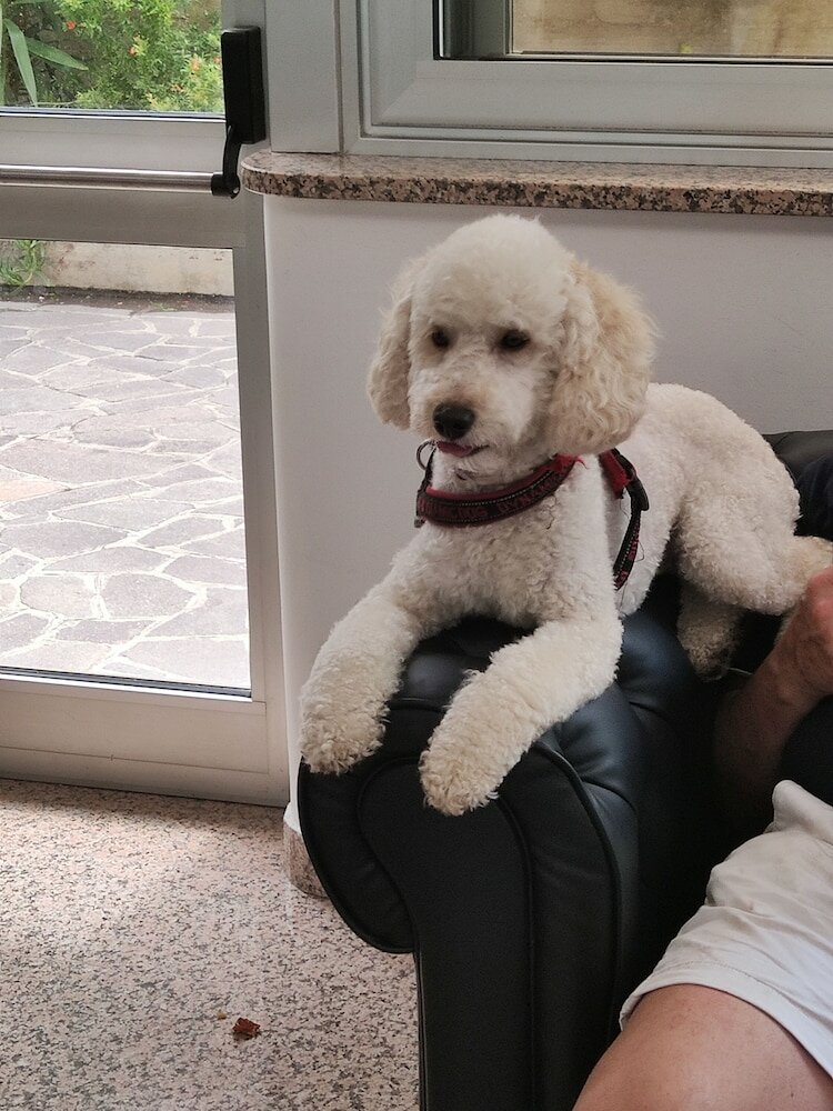 Фото Hotel Le Querce