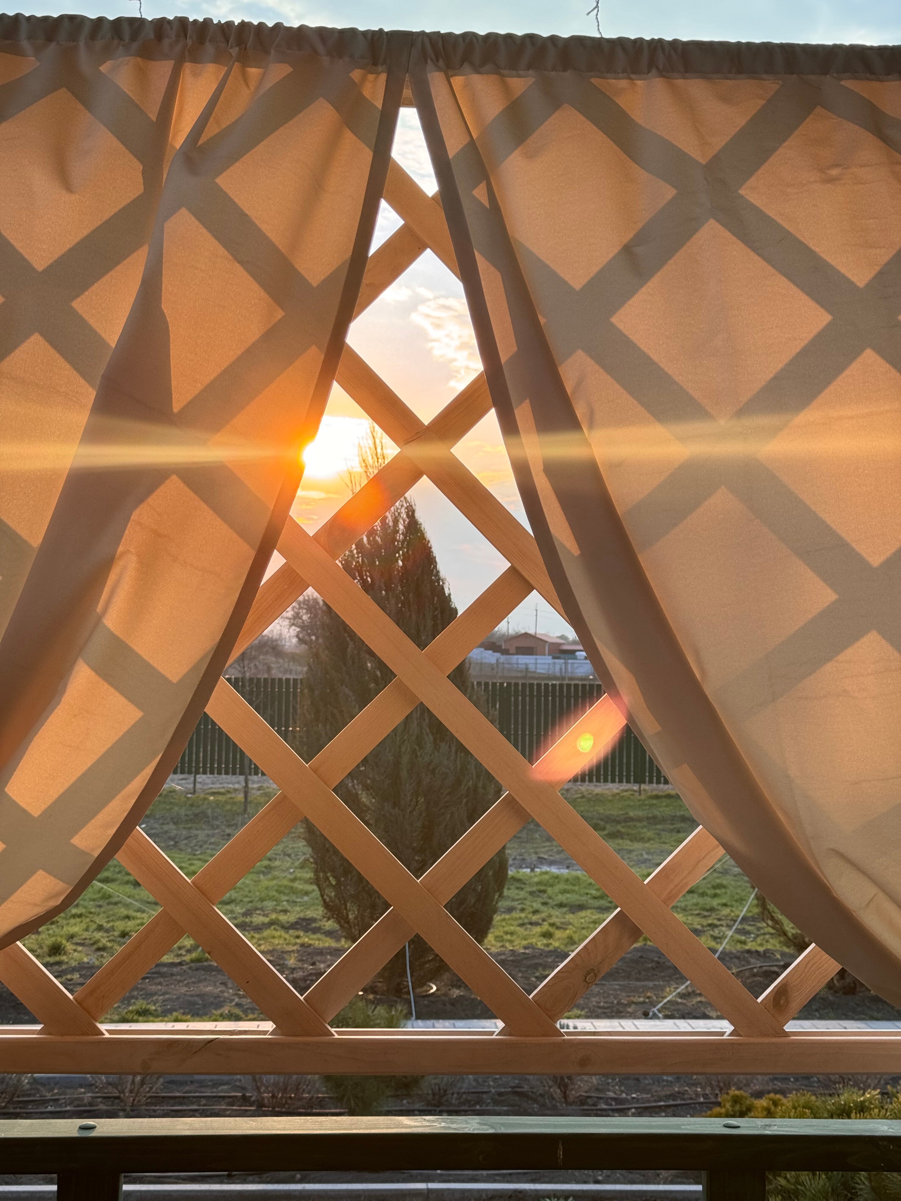 Фото Фазаново