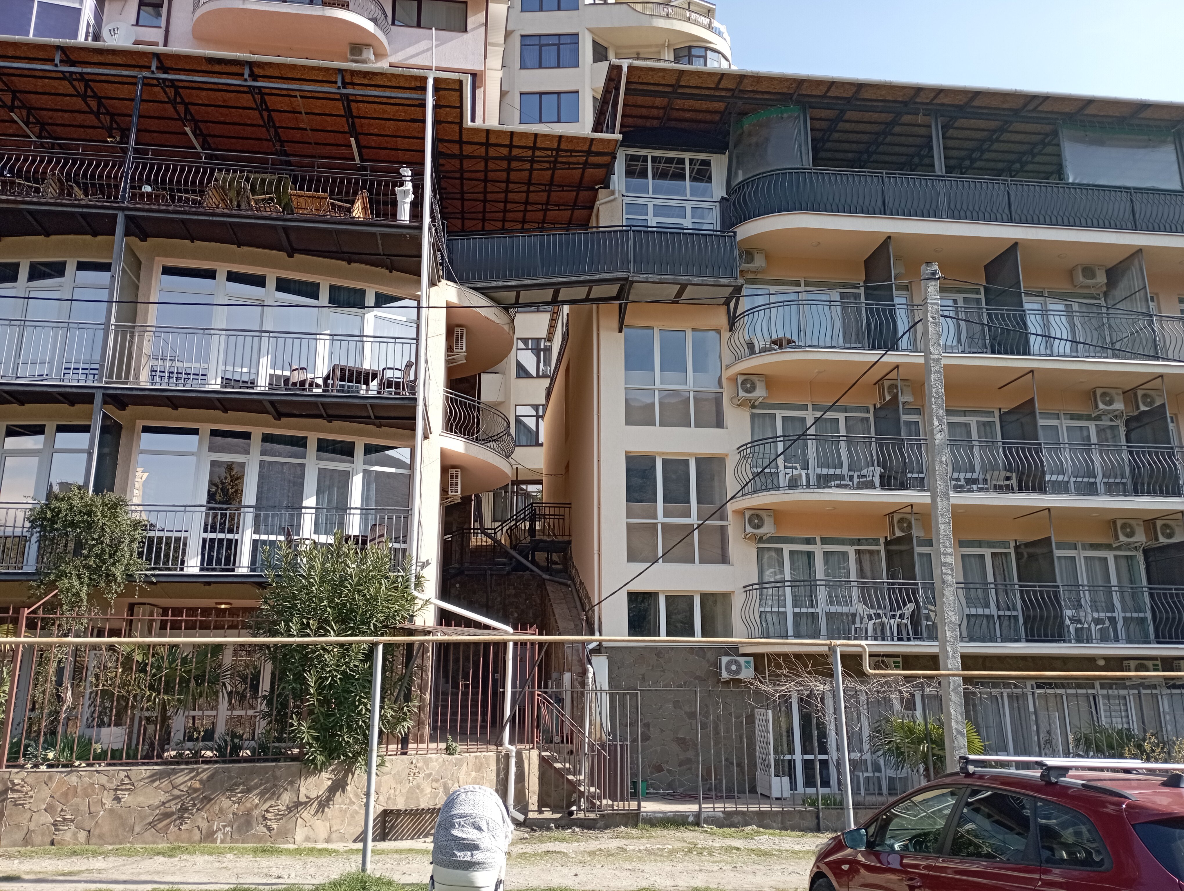 Фото Фламинго