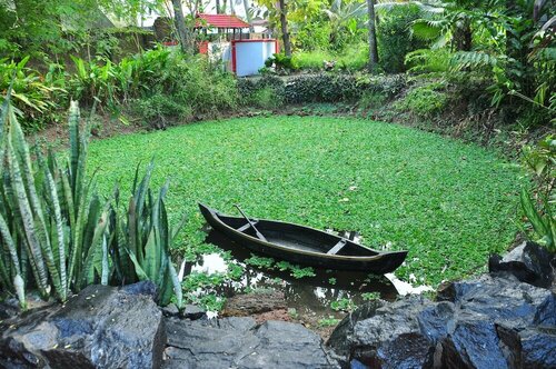 Гостиница Eden Garden Heritage Home Stay
