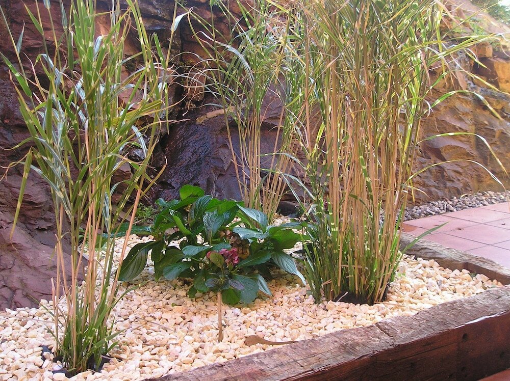 Фото Rural Obaya