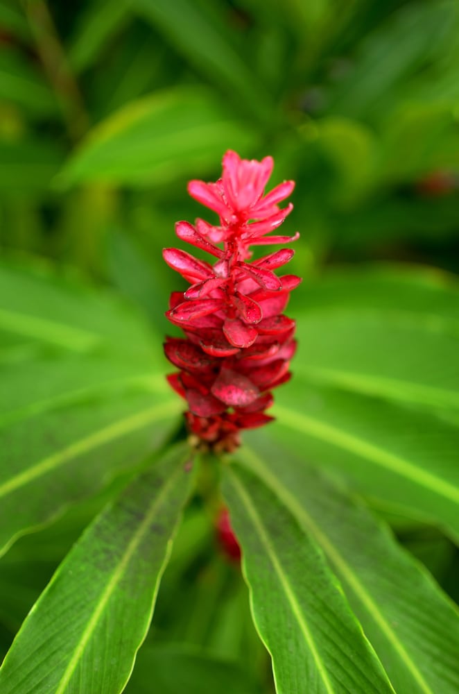 Фото Taksu Sanur