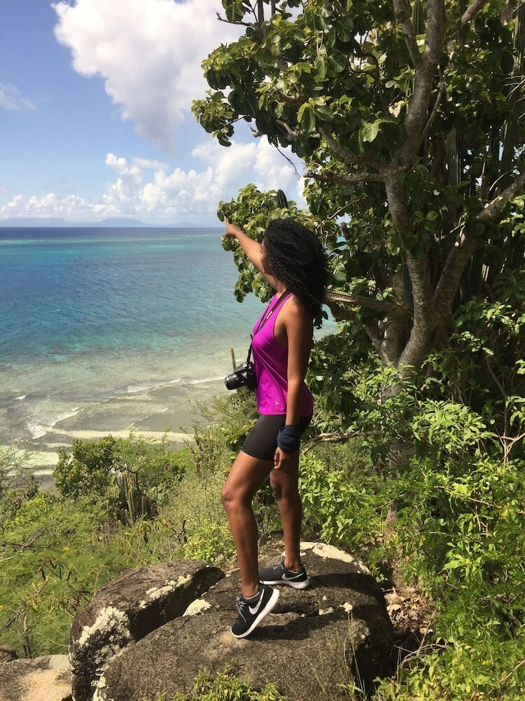 Фото South Coast Horizons