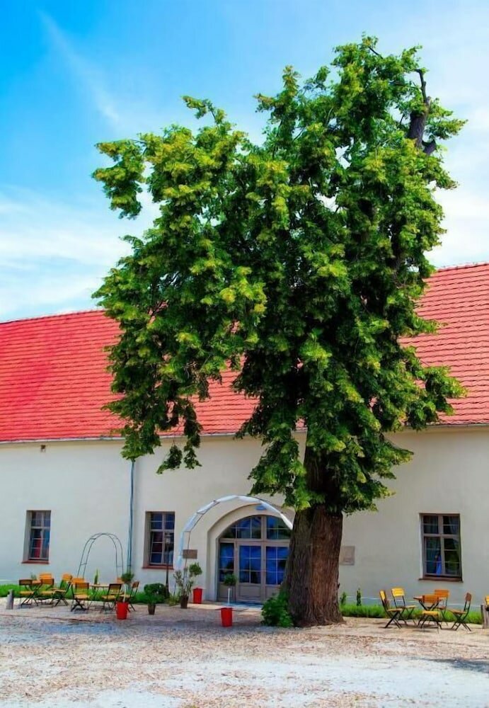 Фото Pałac Wiechlice