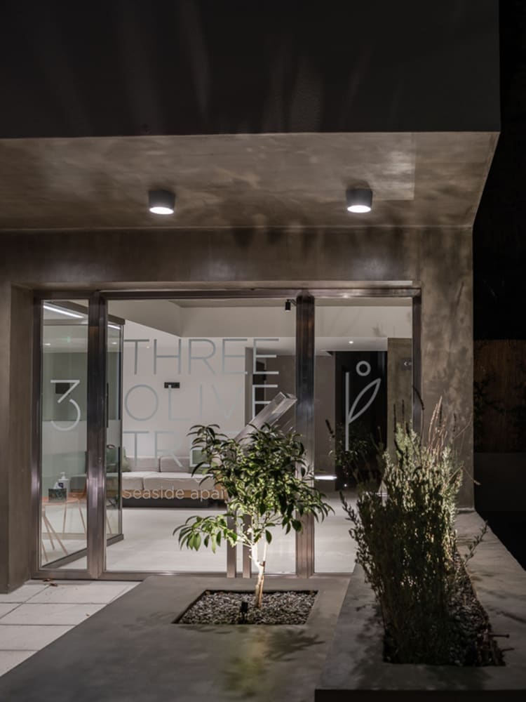 Фото 3 Olive Trees