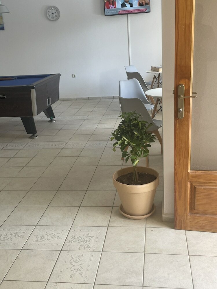 Фото Coralli Beach Hotel